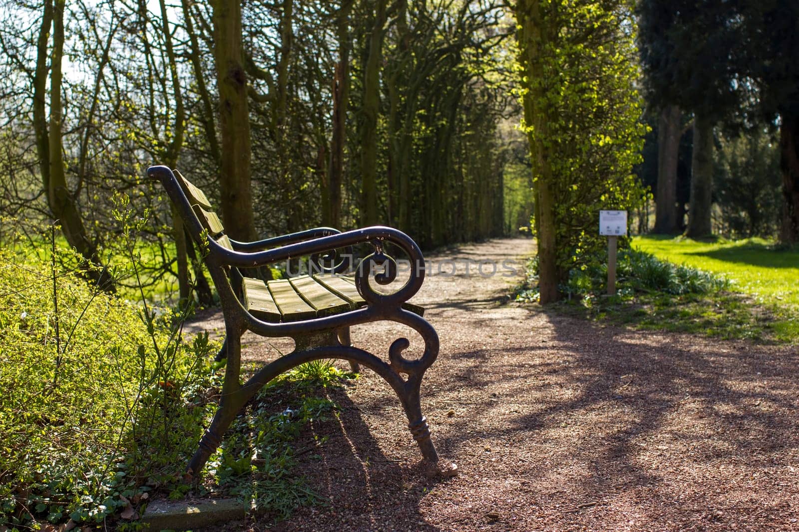 romantic bench in peaceful park in spring