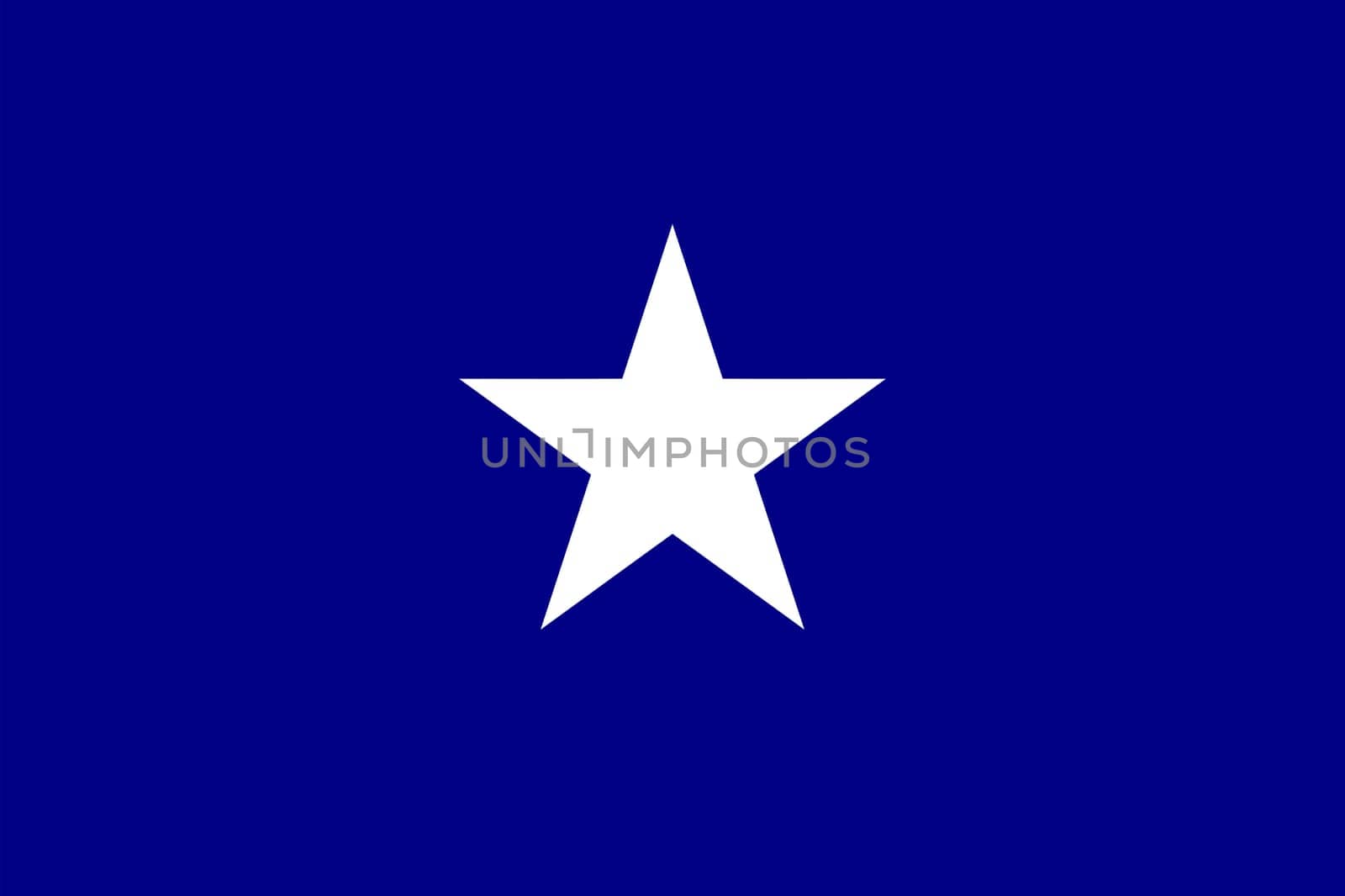 Bonnie Blue. Historical flag of Confederate States of America