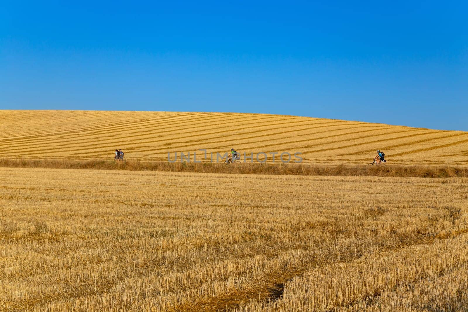 Navarre, Spain, 26 August, 2022: Pilgrims walk along the Camino De Santiago, the Way of St. James pilgrimage route, Navarra, Spain.