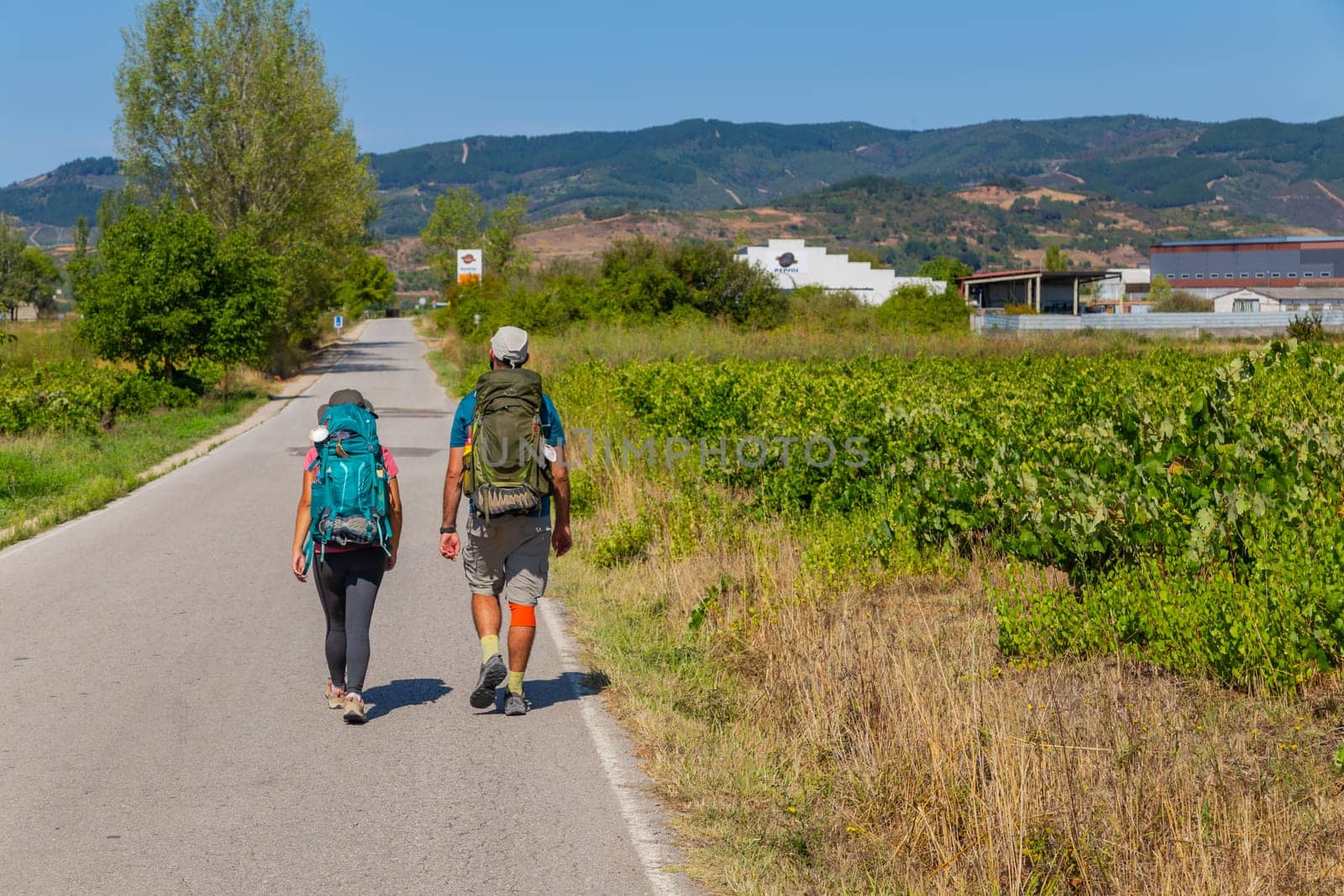 Navarre, Spain, 26 August, 2022: Pilgrims walk along the Camino De Santiago, the Way of St. James pilgrimage route, Navarra, Spain.