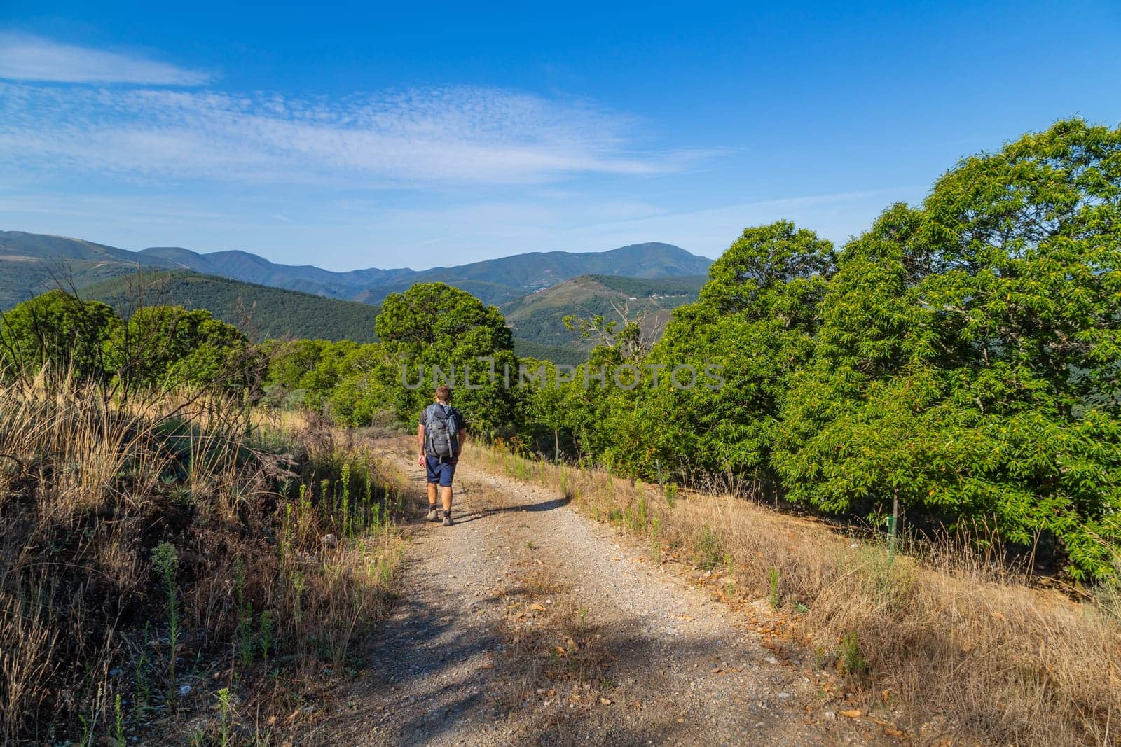 Navarre, Spain, 26 August, 2022: Pilgrim walk along the Camino De Santiago, the Way of St. James pilgrimage route, Navarra, Spain.