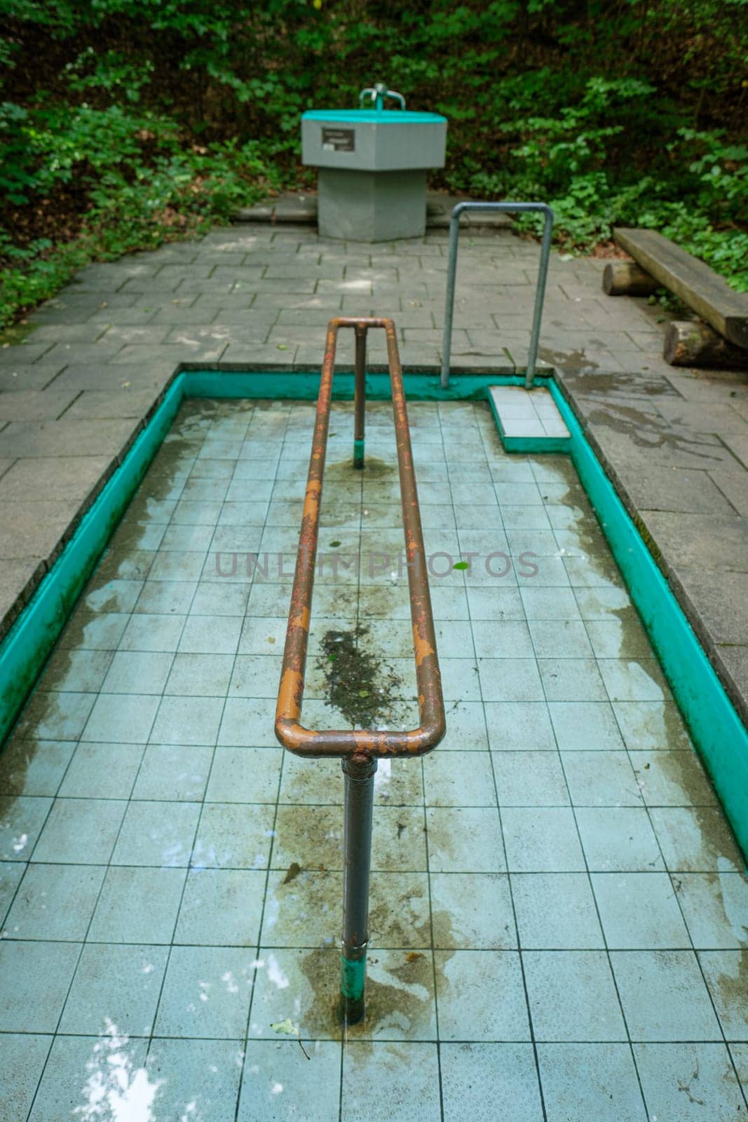 Outdoor natural kneipp basin with water with green plants