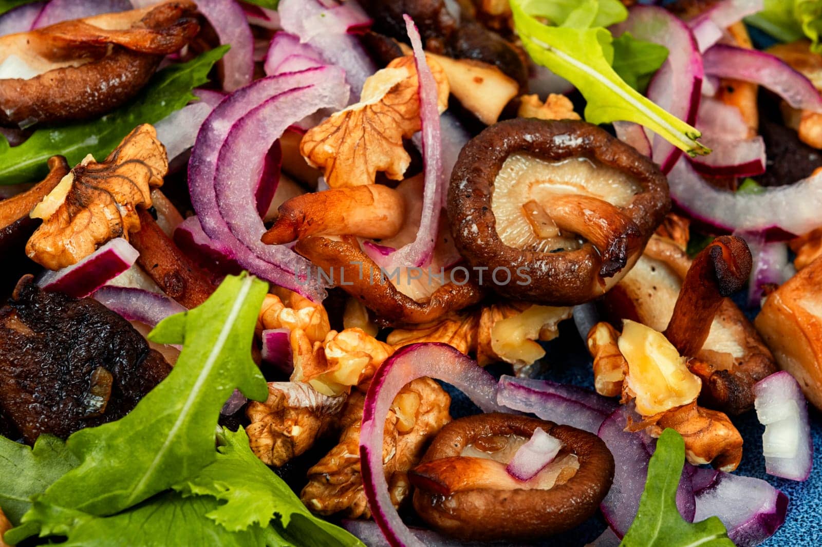 Dietetic warm salad with grilled forest mushrooms, onions, herbs and walnuts.