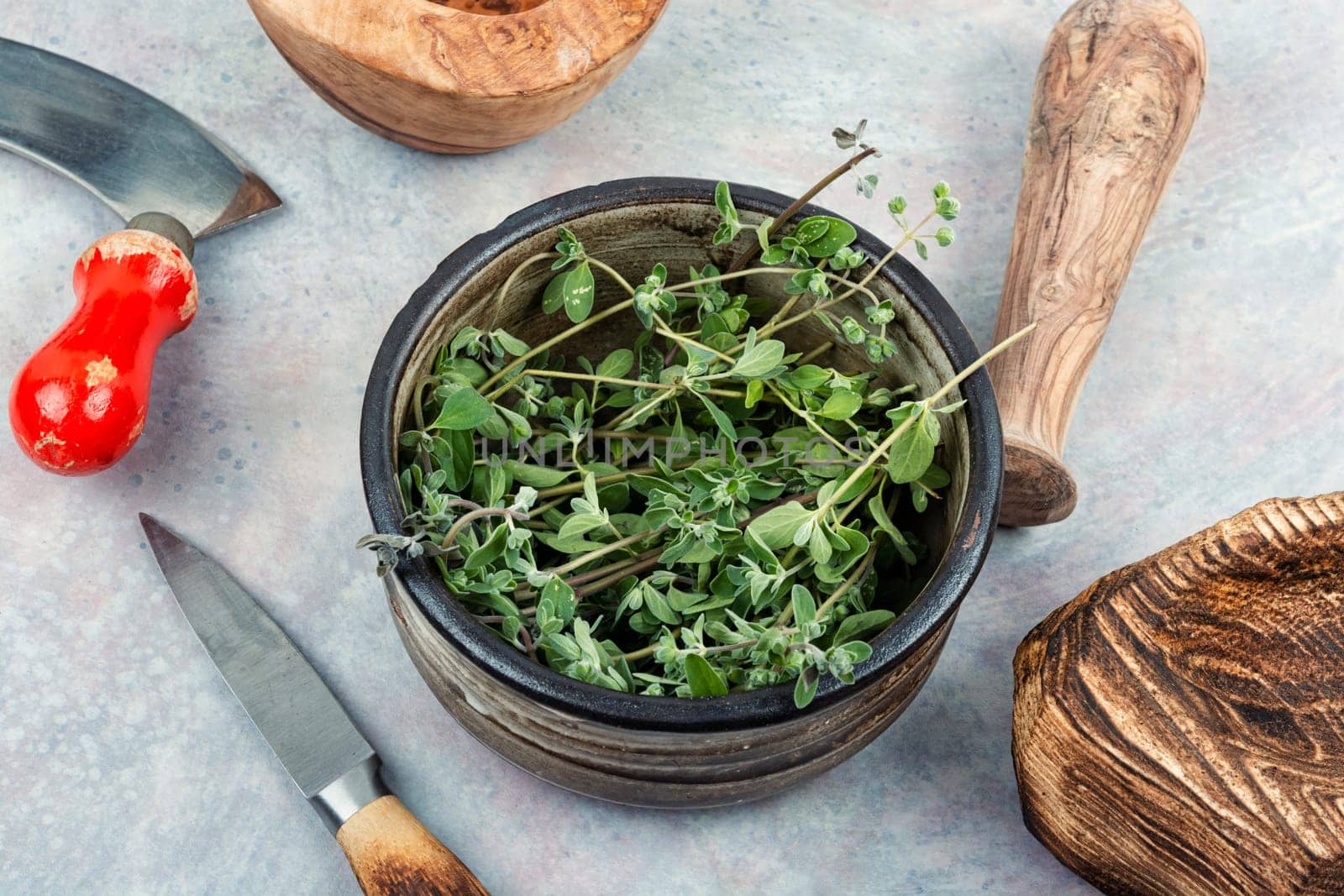 Marjoram, spice with a sweet smell and a medicinal plant. Marjoram leaves