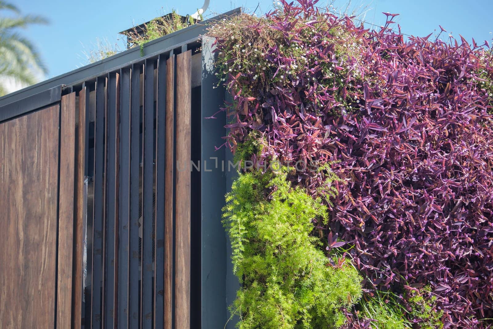 Vertical outdoor garden covering wooden and metal corner. Sustainable architecture concept