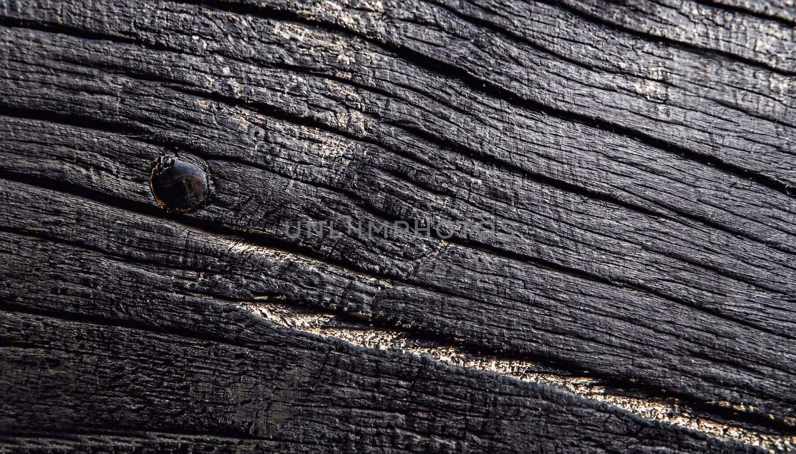 Wood texture. Macro photo. Black texture background. Top view.
