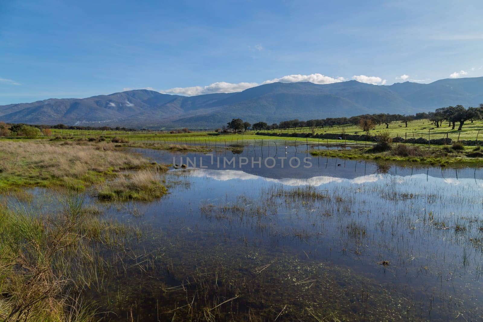 Landscape with trees reflected in water near Arroyo de la Luz. Extremadura. Spain.