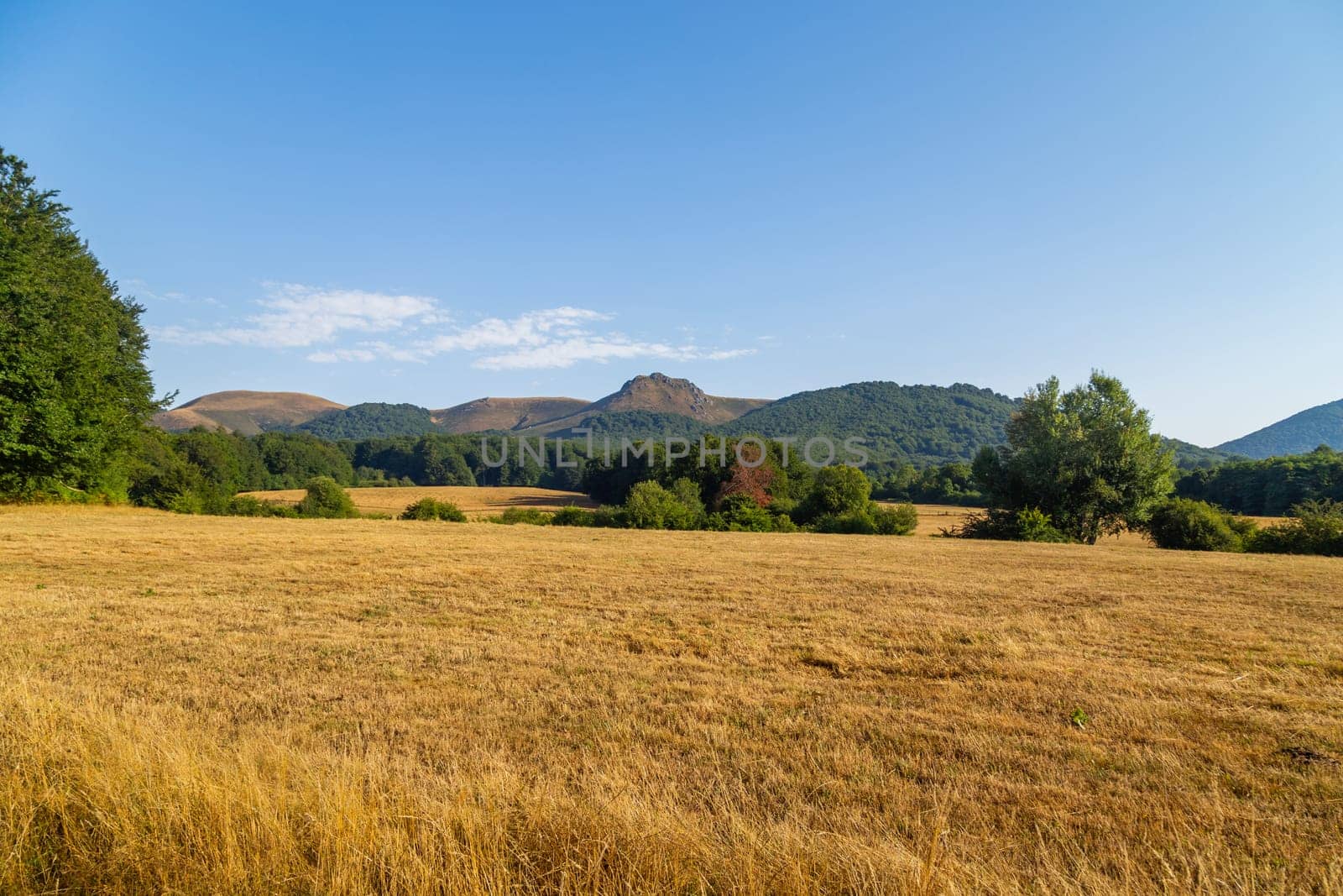 Fields and mountain view in Basque Country, Spain