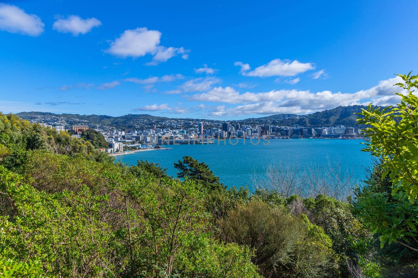 Scenic view of Wellington, buildings and hillside residences. New Zealand.