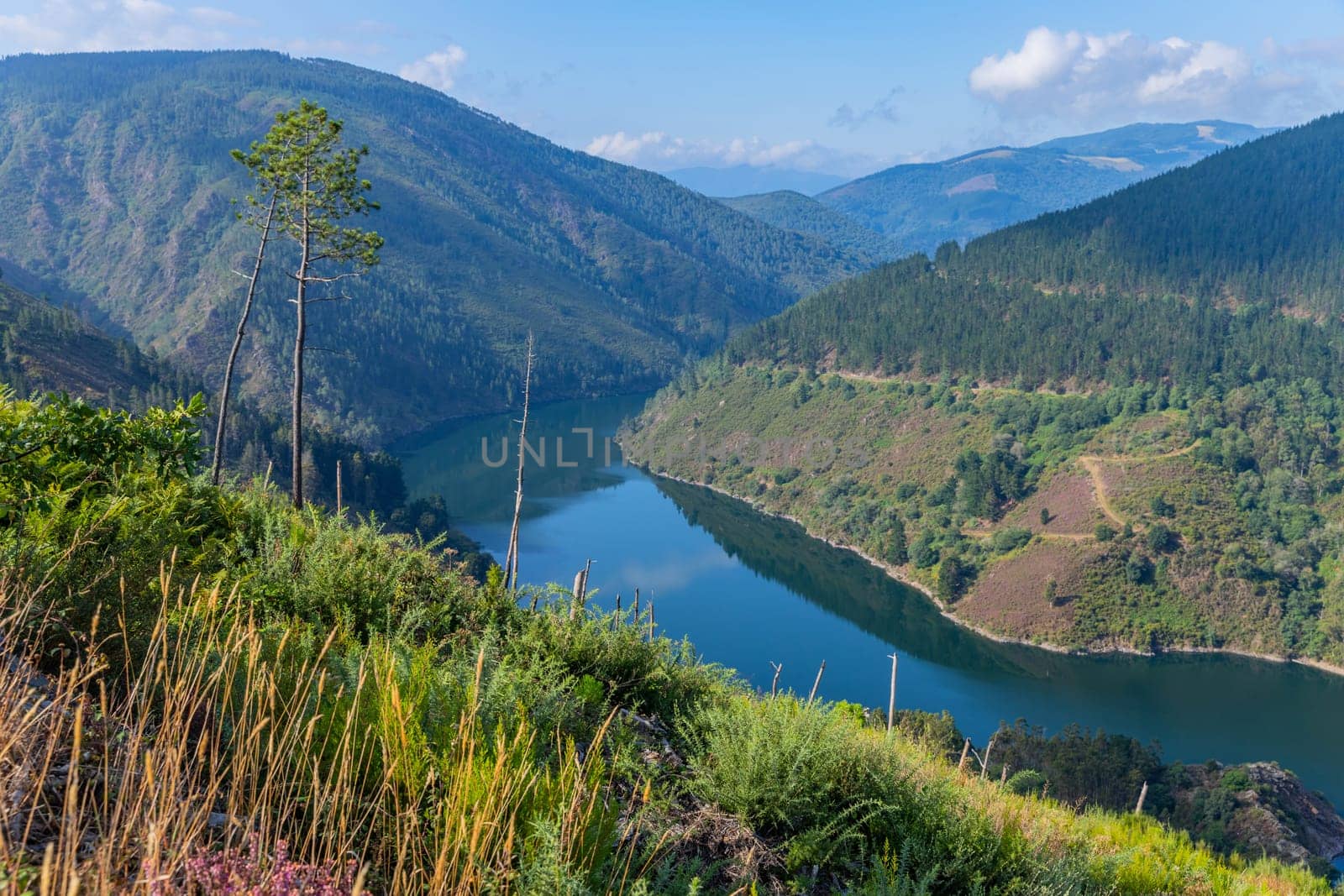 Water reservoir close to Grandas de Salime, beautiful landscape along the Camino de Santiago trail, Asturias, Spain