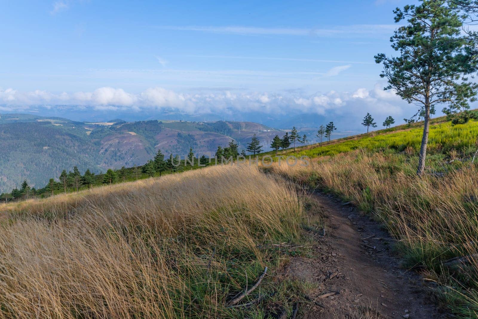 Landscape along the Camino de Santiago trail between Grandas de Salime and Fonsagrada, Asturias, Spain