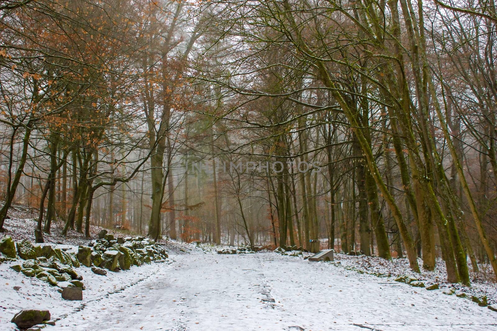 Bergpark Wilhelmshoehe in Kassel in Germany, a unique landscape park in Kassel, Germany