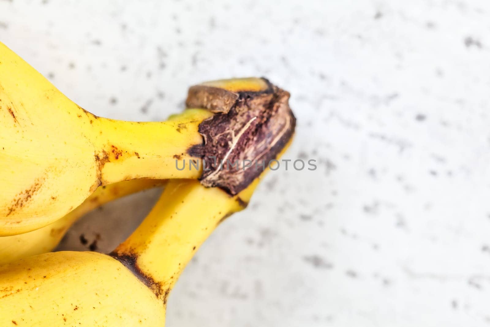 Closeup of end of bananas bunch stems on white board, space for text right