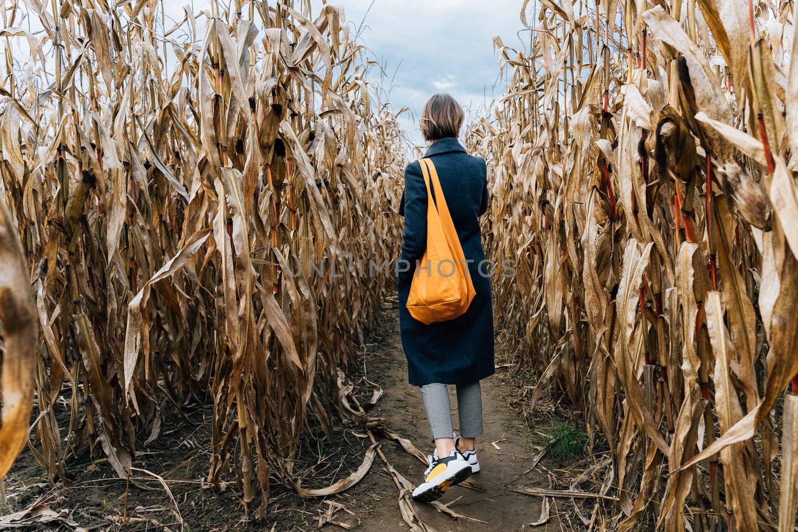 Rear view of a woman in a coat with a bright orange bag walking between rows of corn in a field in autumn.