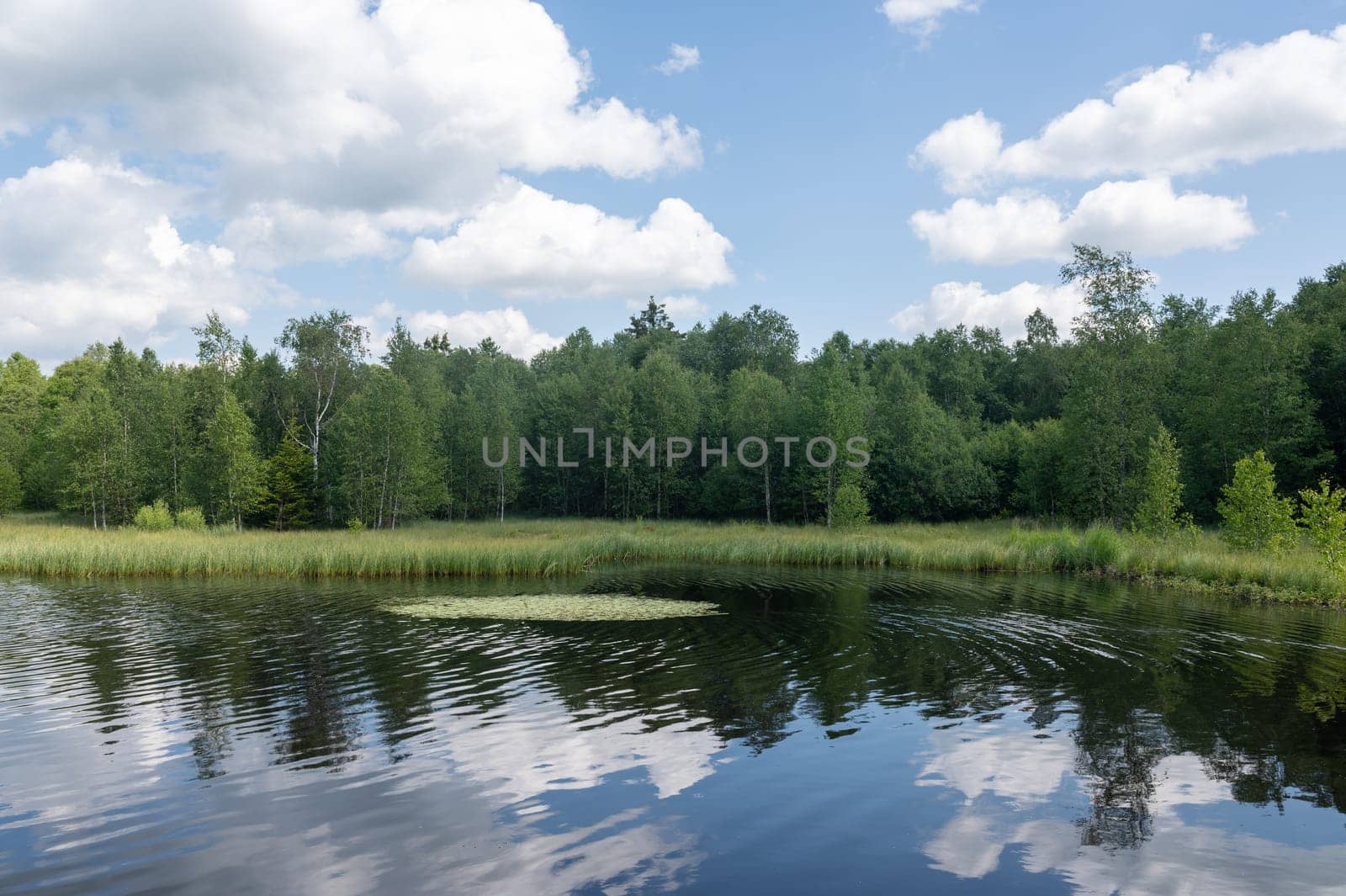 Reservoir at the red moor in the high Rhoen, Hesse, Germany. With blue sky and white clouds and reflection in the water