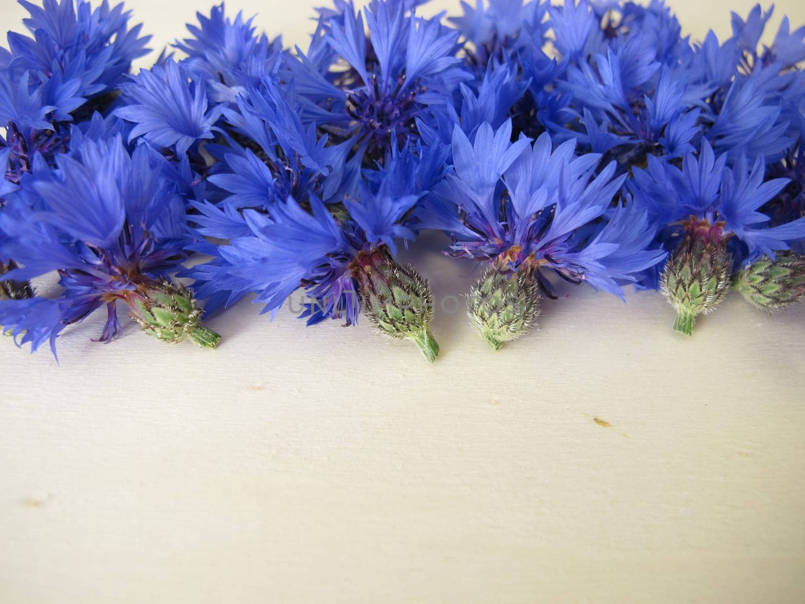 Still life with blue cornflowers flowers on a wooden board