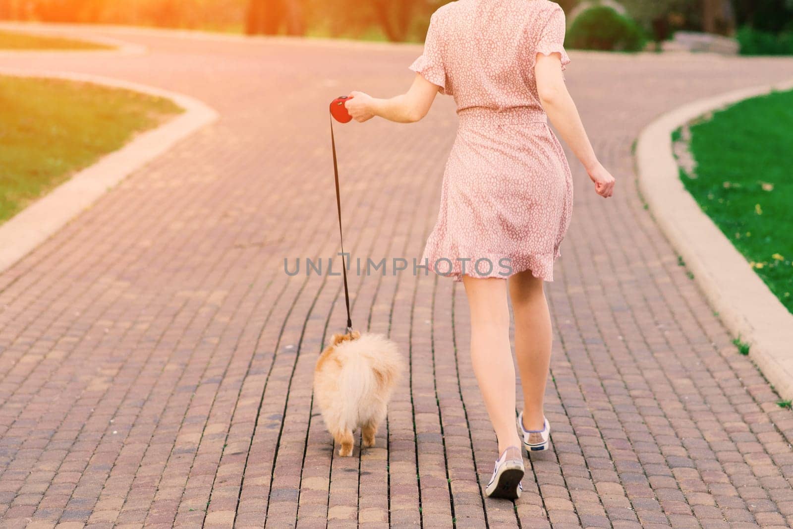 Young beautiful female in a blue mask with a dog on a background of a blossoming tree. Coronavirus pandemic.