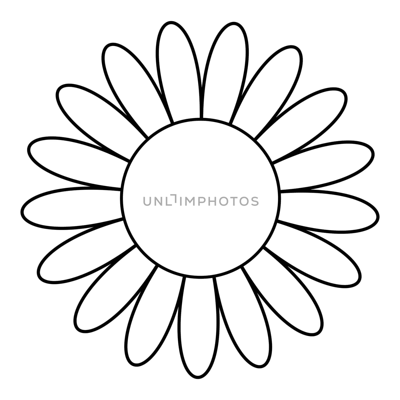 Chamomile sun flower chamomile flower outline icon