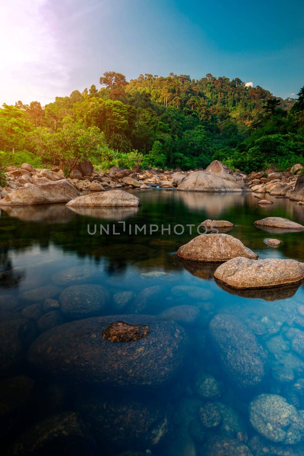 River stone and tree with sun light, View water river tree, Stone river and sun ray in forest