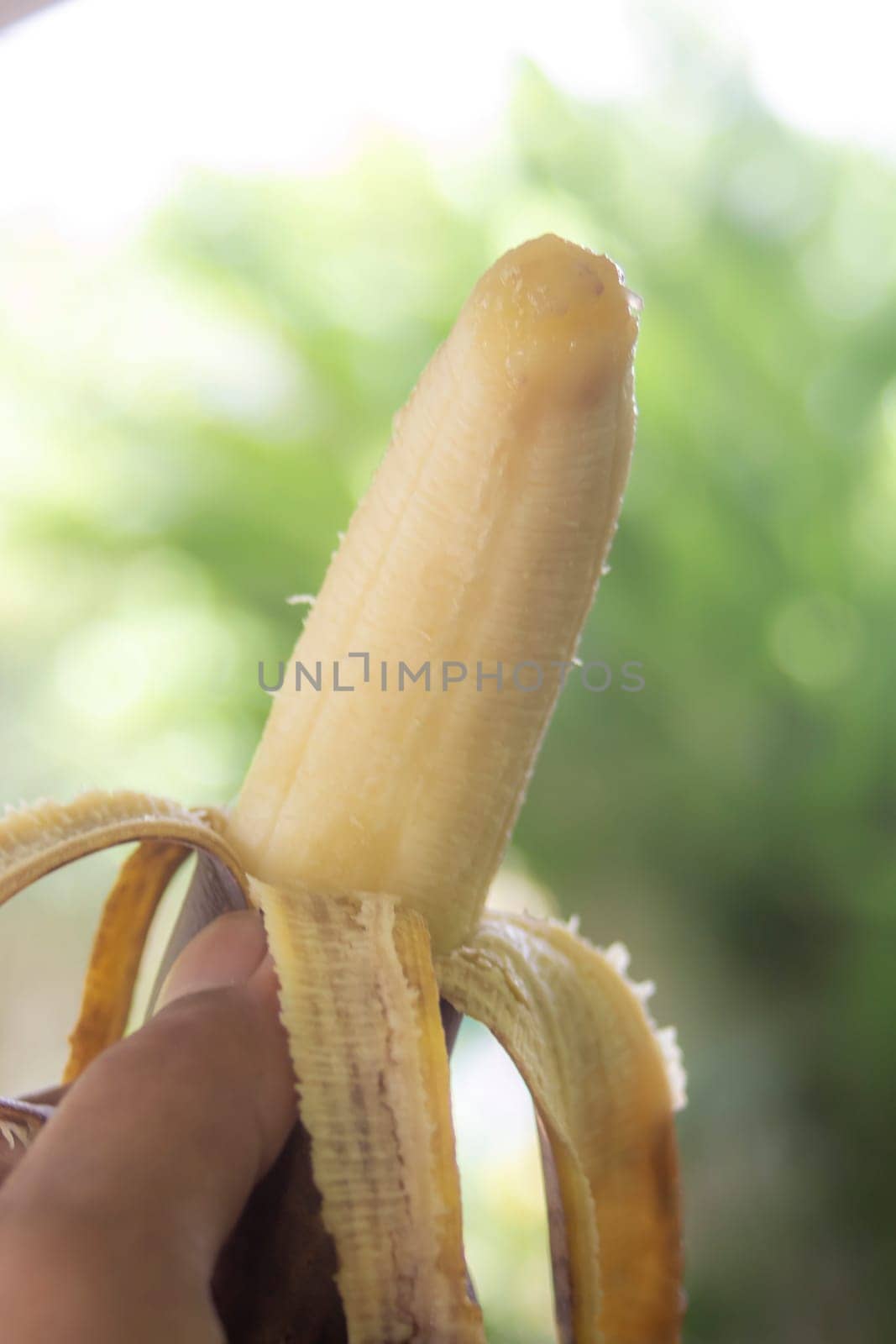 Rotten banana with hand holding on blurred bokeh nature background