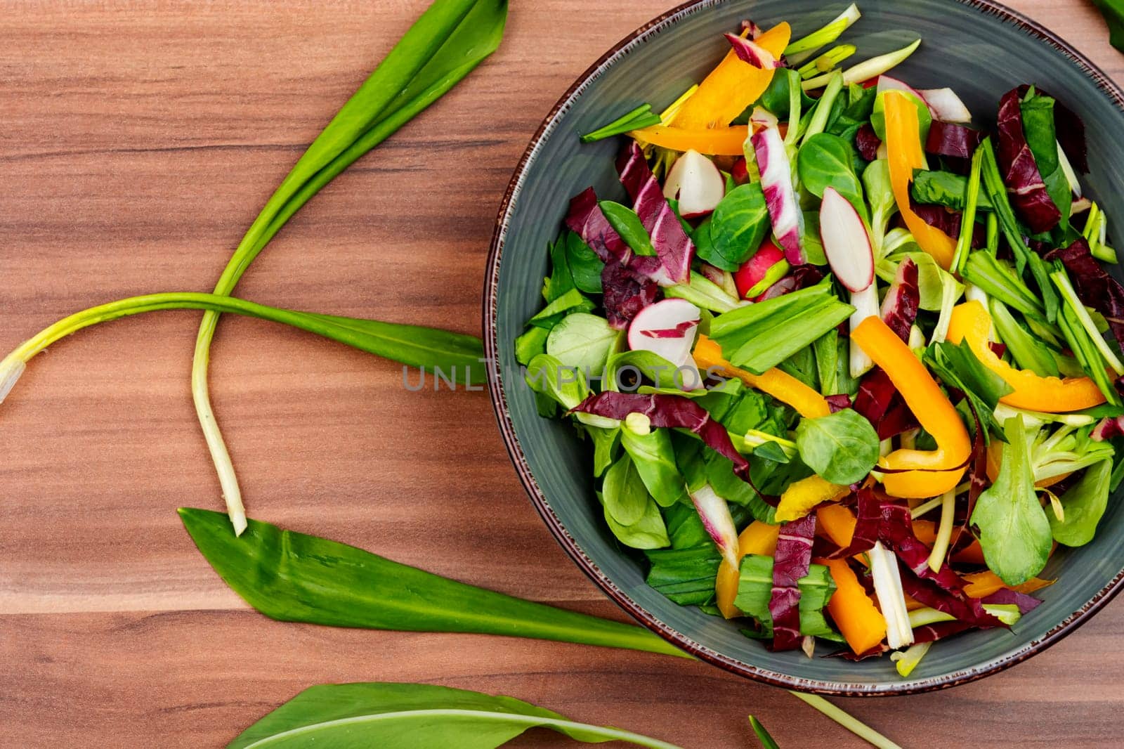 Tasty spring raw salad with vegetables and bear leek or wild garlic. Space for text