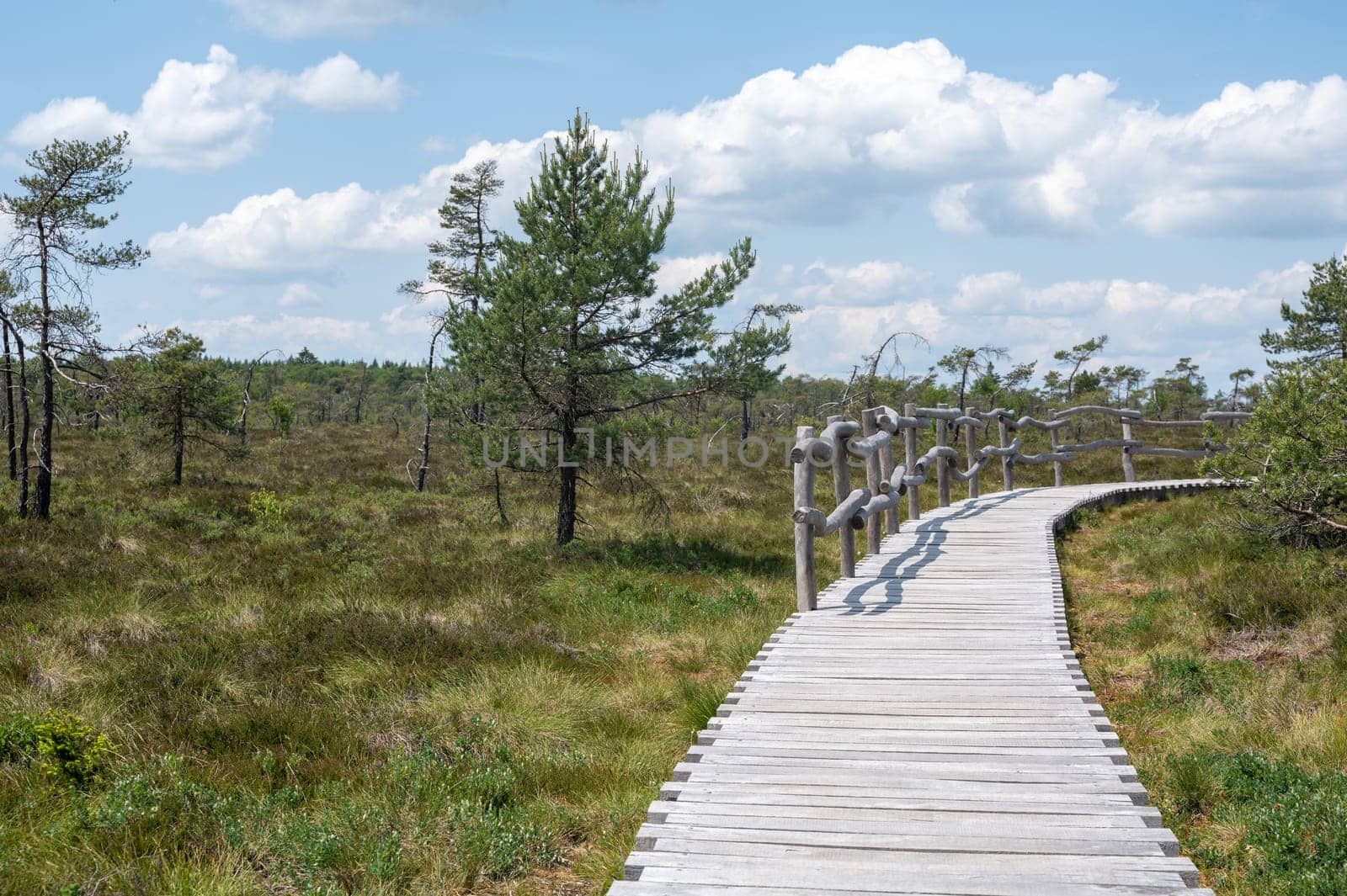 Black moor in the Rhoen, Bavaria, Germany, with a new moor wooden path