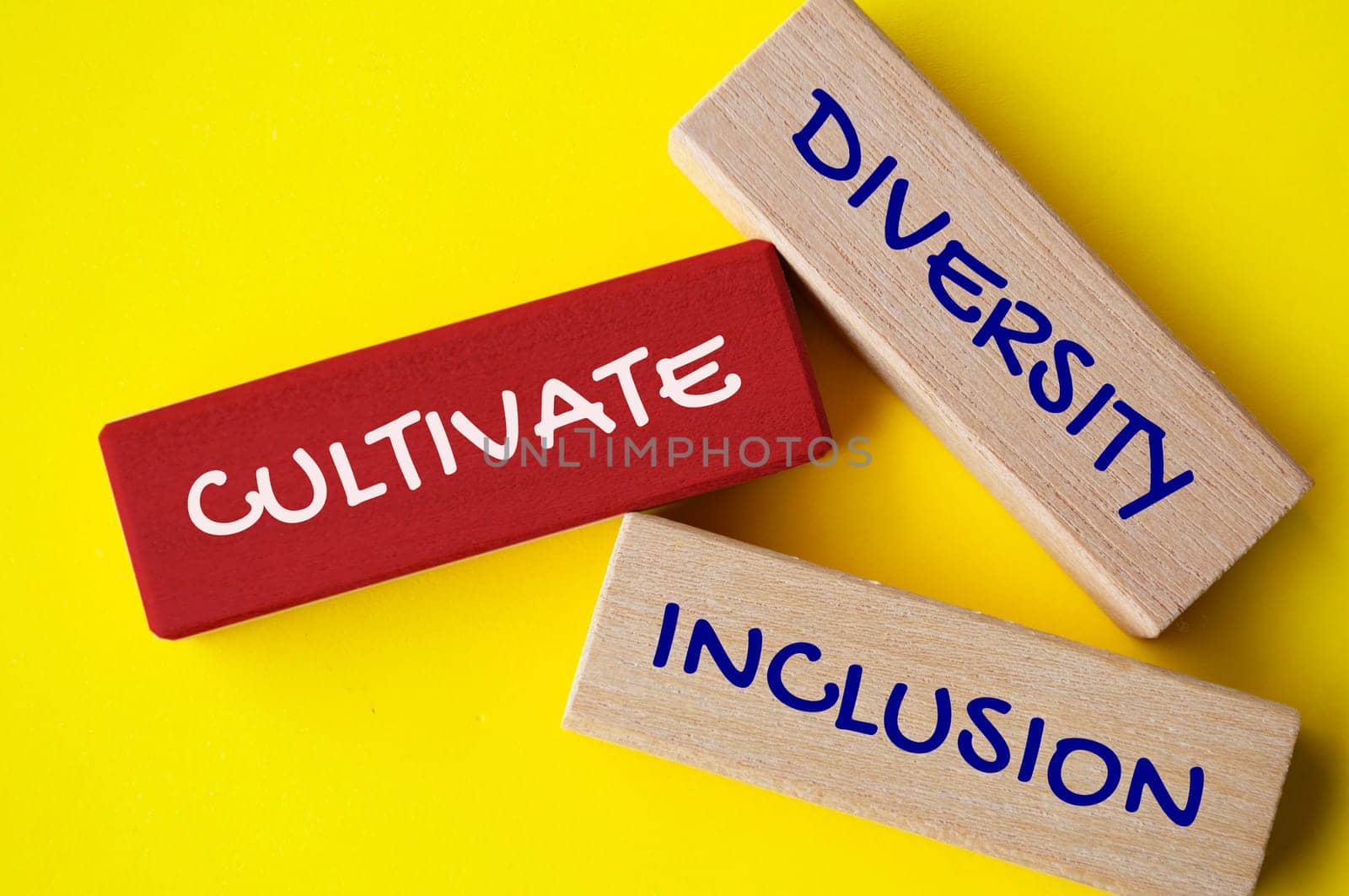 Top view of wooden blocks with text - Diversity, inclusion and equity. Diversity concept