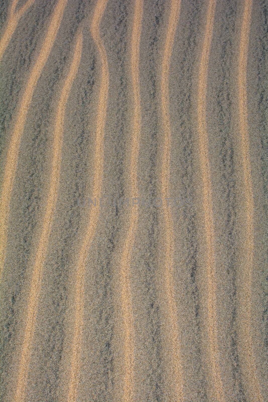 Wavy sand on a dune, full frame