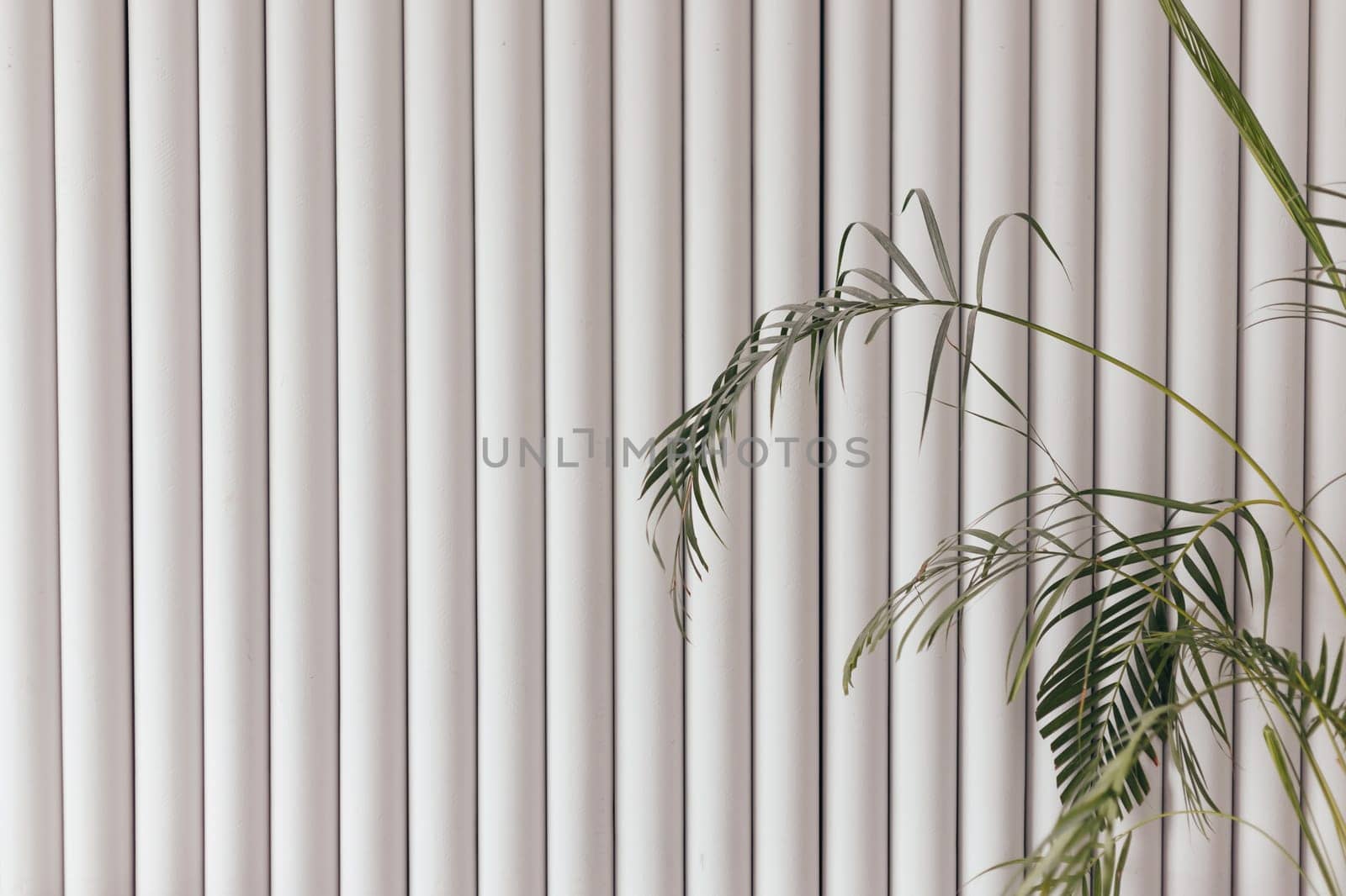 White Wall made of Vertical tubes, palm branch, wall decoration background. Interior design