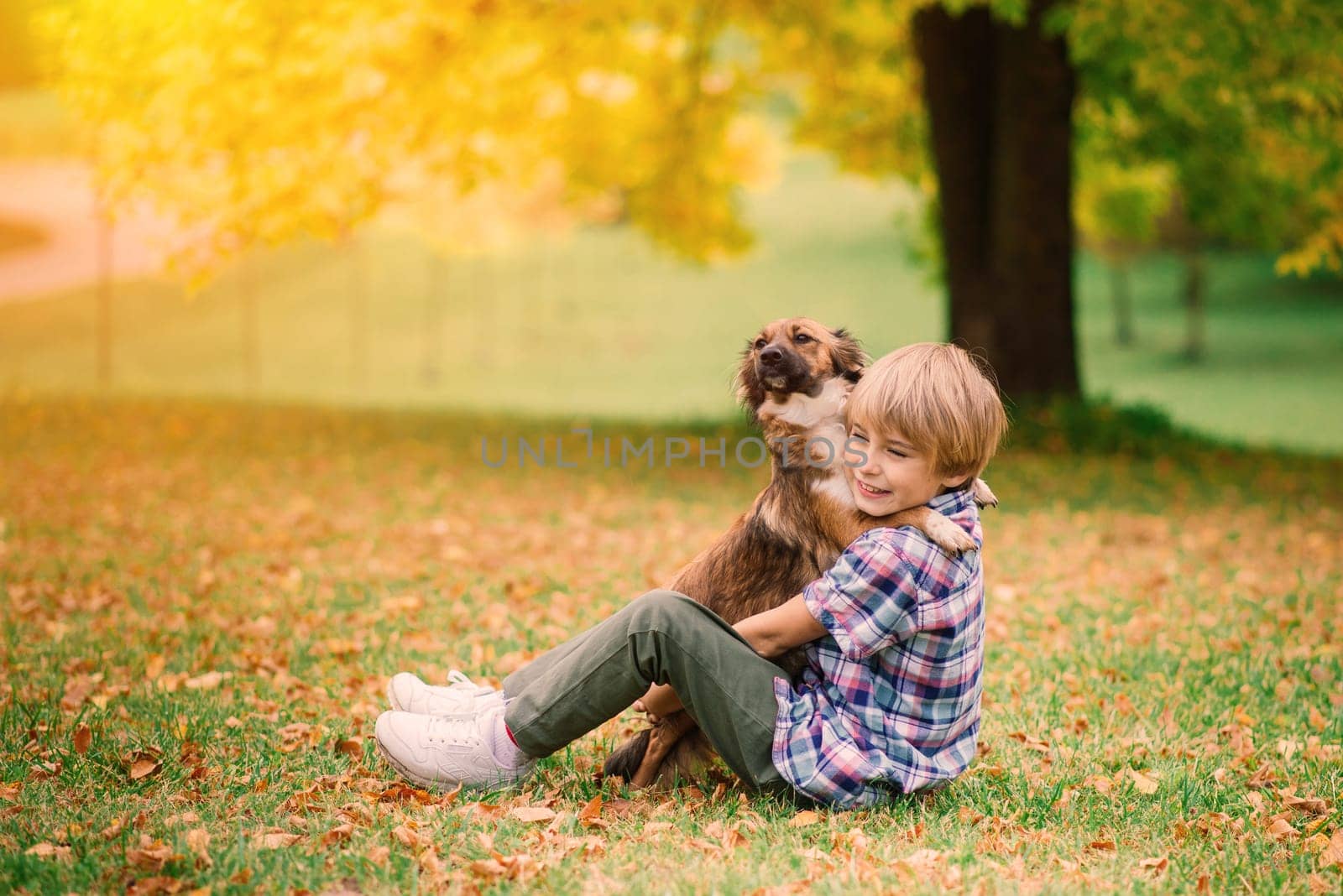 Cute boy playing and walking with his dog in the meadow.