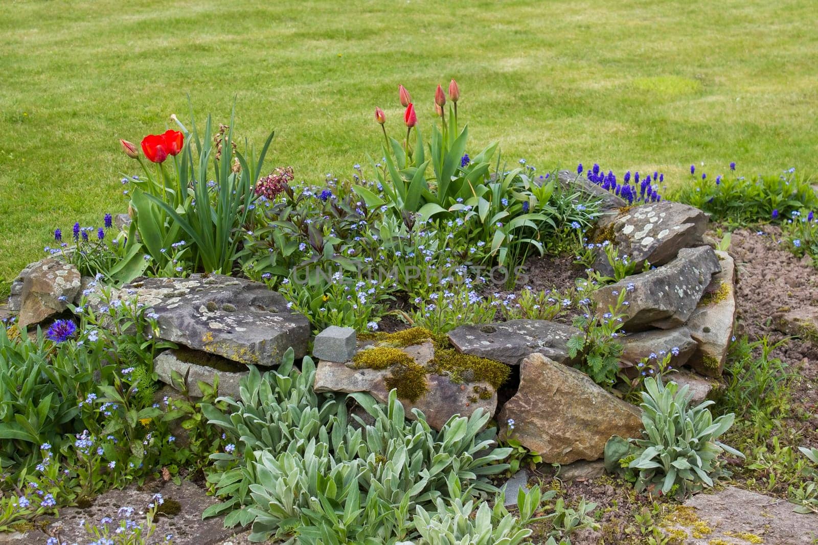Natural flower and stone in garden. Garden flower part