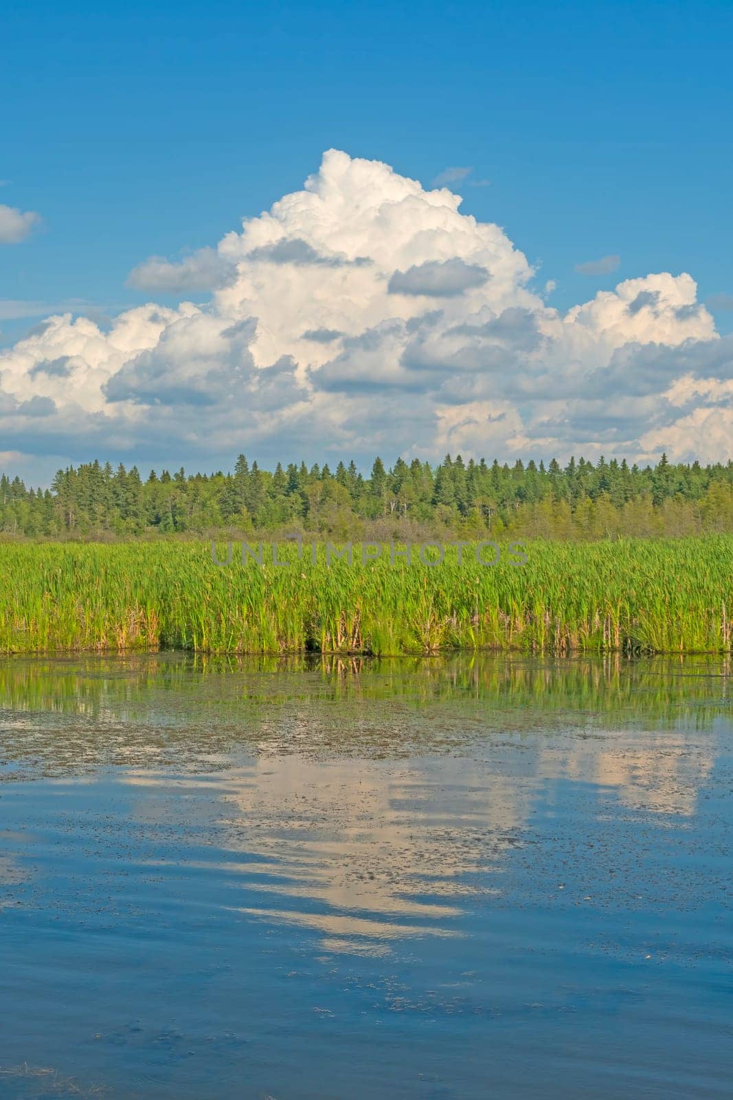 Storm Clouds Over a Quiet Pond at Ominnik Marsh in Riding Mountain National Park in Manitoba