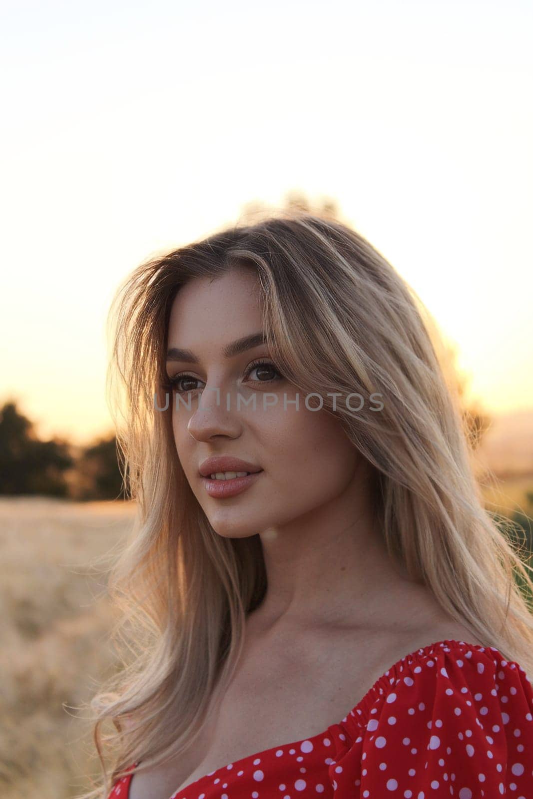 Beautiful sexy attractive girl enlightened by sunset.