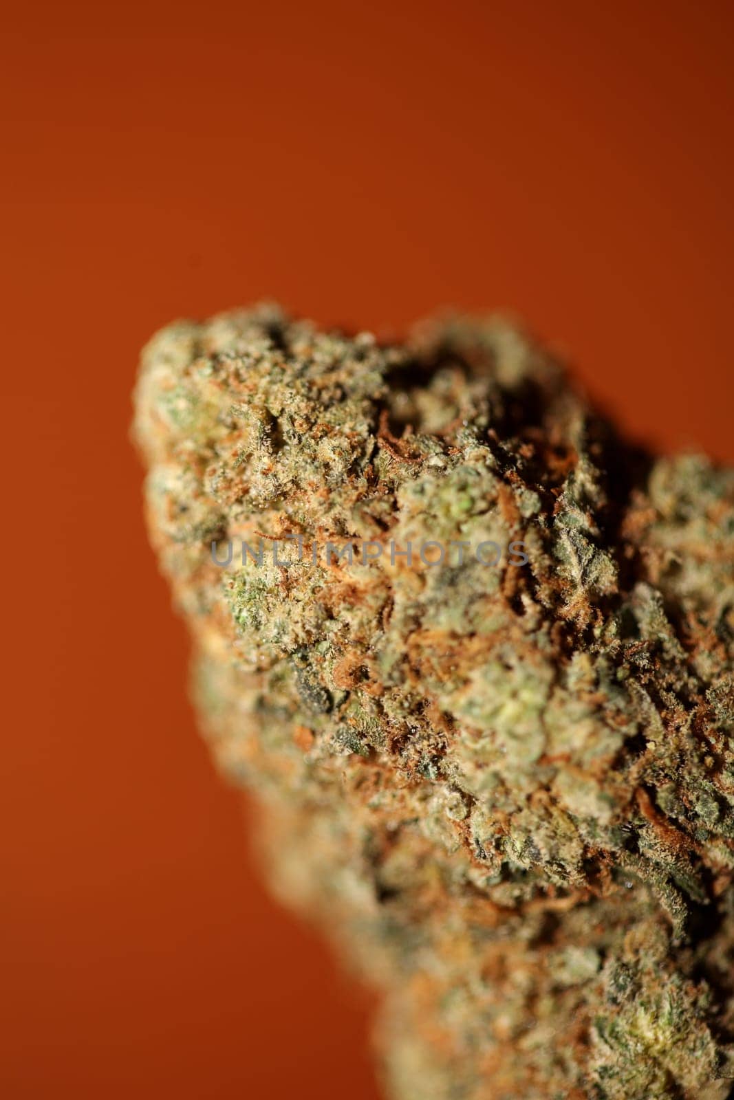 Cannabis medical bud super lemon haze close up stoned time high moments legalize it Amsterdam season background high quality focus stack fifty megapixels prints