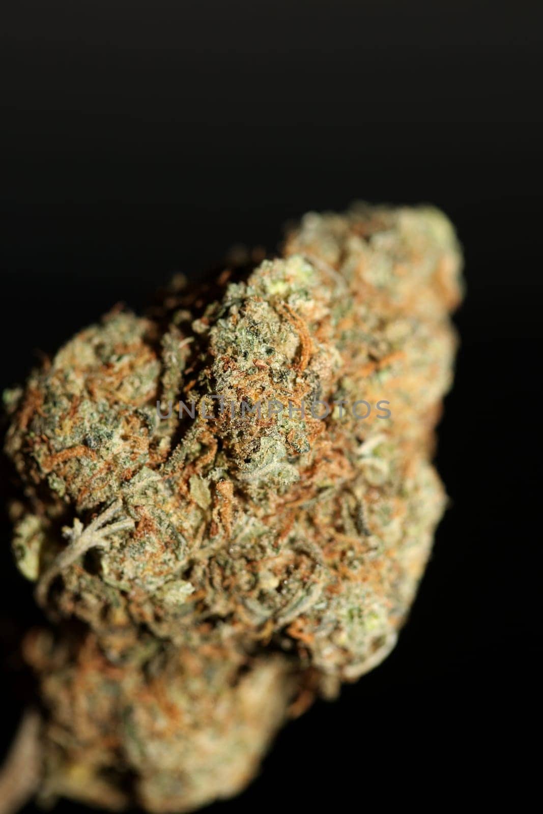 Cannabis medical bud super lemon haze close up stoned time high moments legalize it Amsterdam season background high quality focus stack fifty megapixels prints