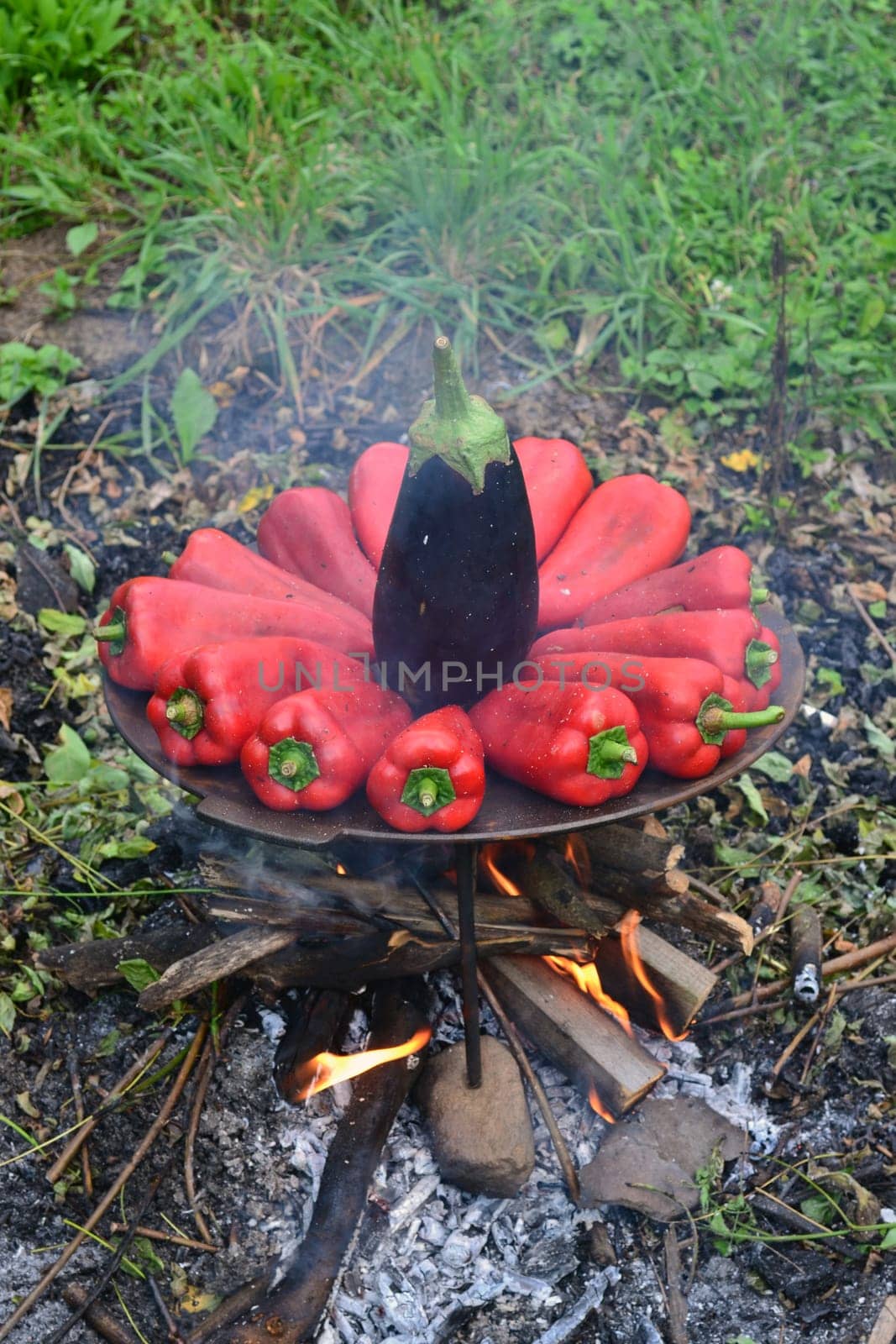 Round pile of red peppers and eggplant on the grill outside