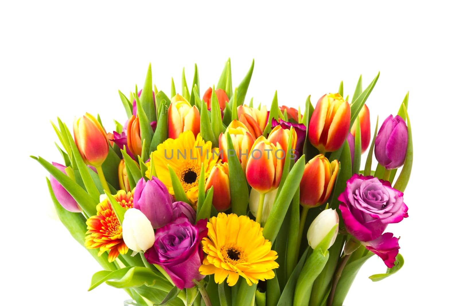 bunch of colorful flowers on white background
