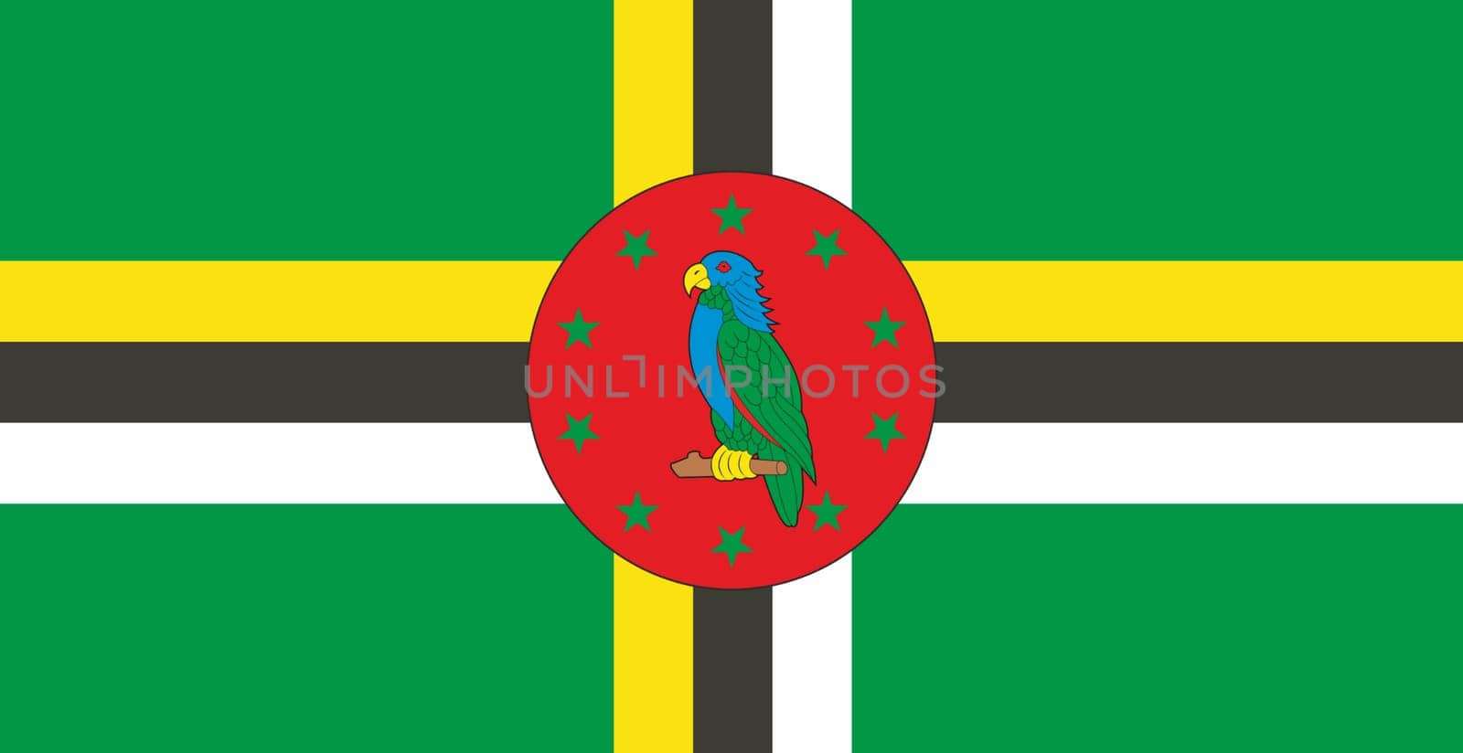 flag of Dominica. National Dominica flag. national flag. Republic of Dominica. Island country. illustration