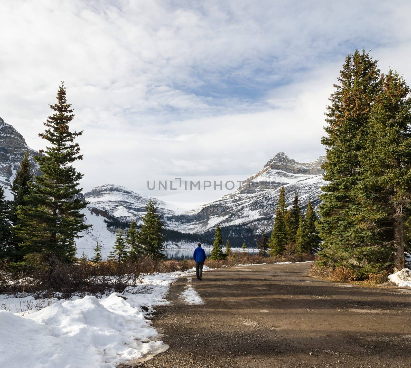 Canadian Rockies Mountain and pathway to Bow Lake in Banff National Park, Alberta, Canada