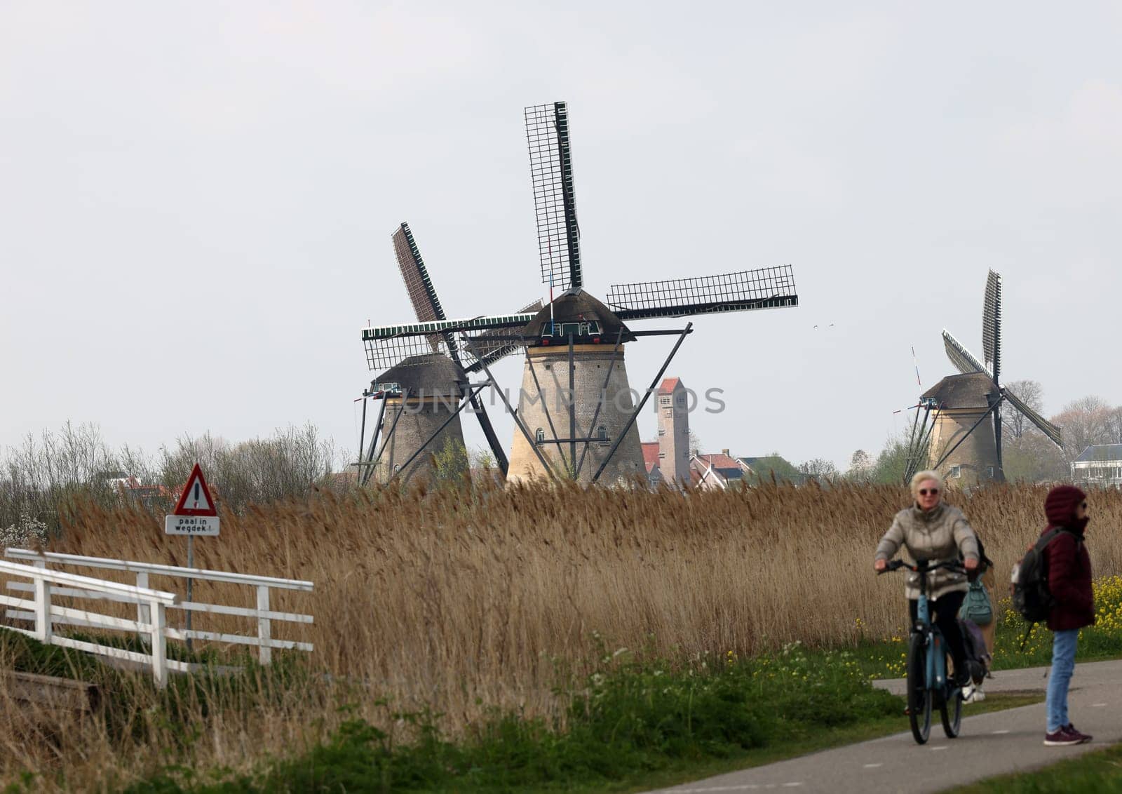 Kinderdijk, the Netherlands - April 17, 2023: 19 windmills at Kinderdijk built about 1740 is part of a larger water management system to prevent flooding. A UNESCO world heritage site.