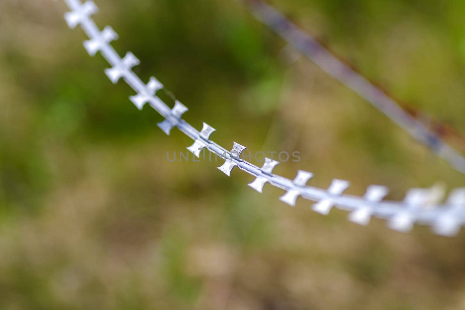 closeup of very sharp razor blade barbed wire