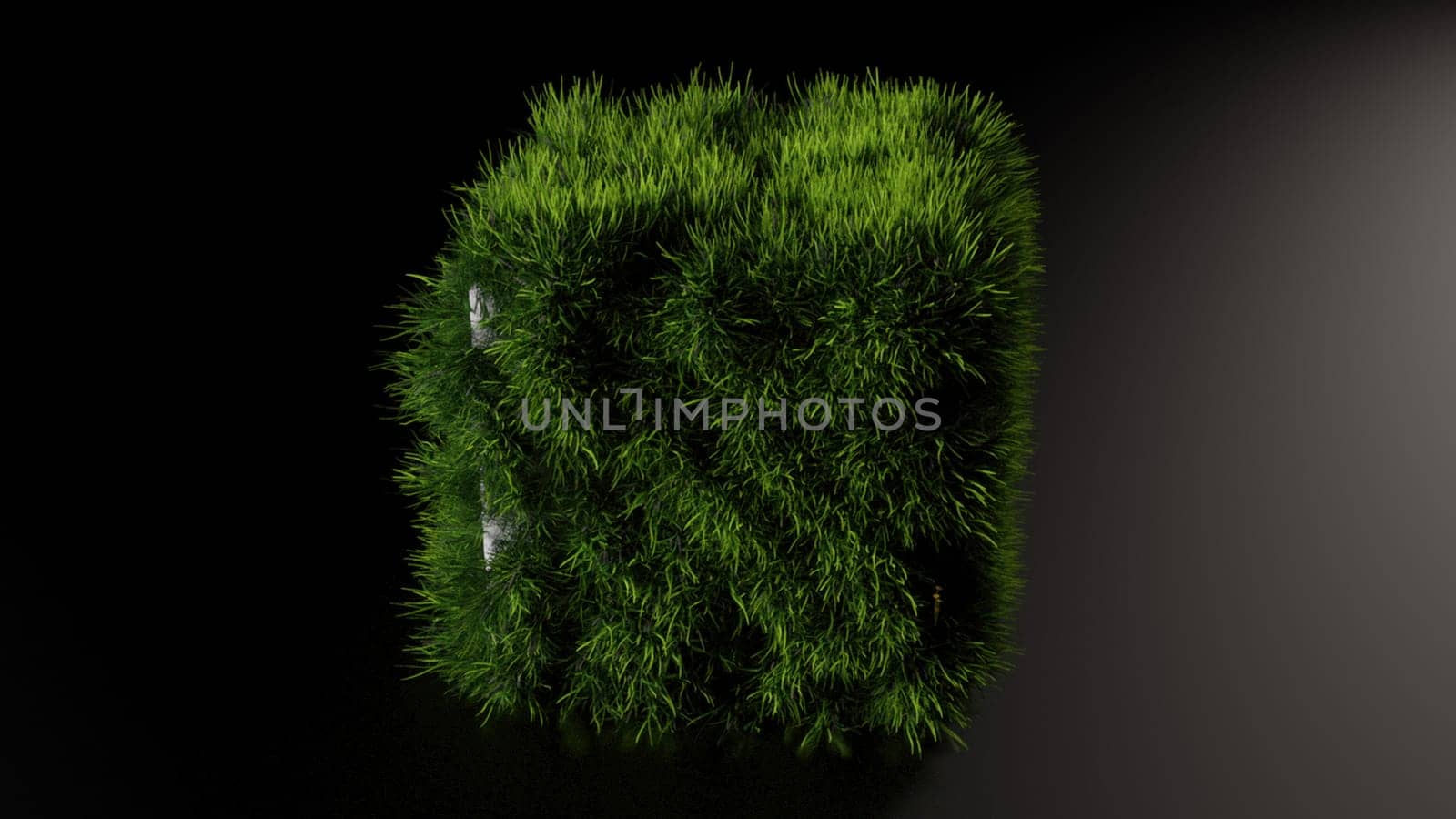 Grass cube. Computer generated 3d render