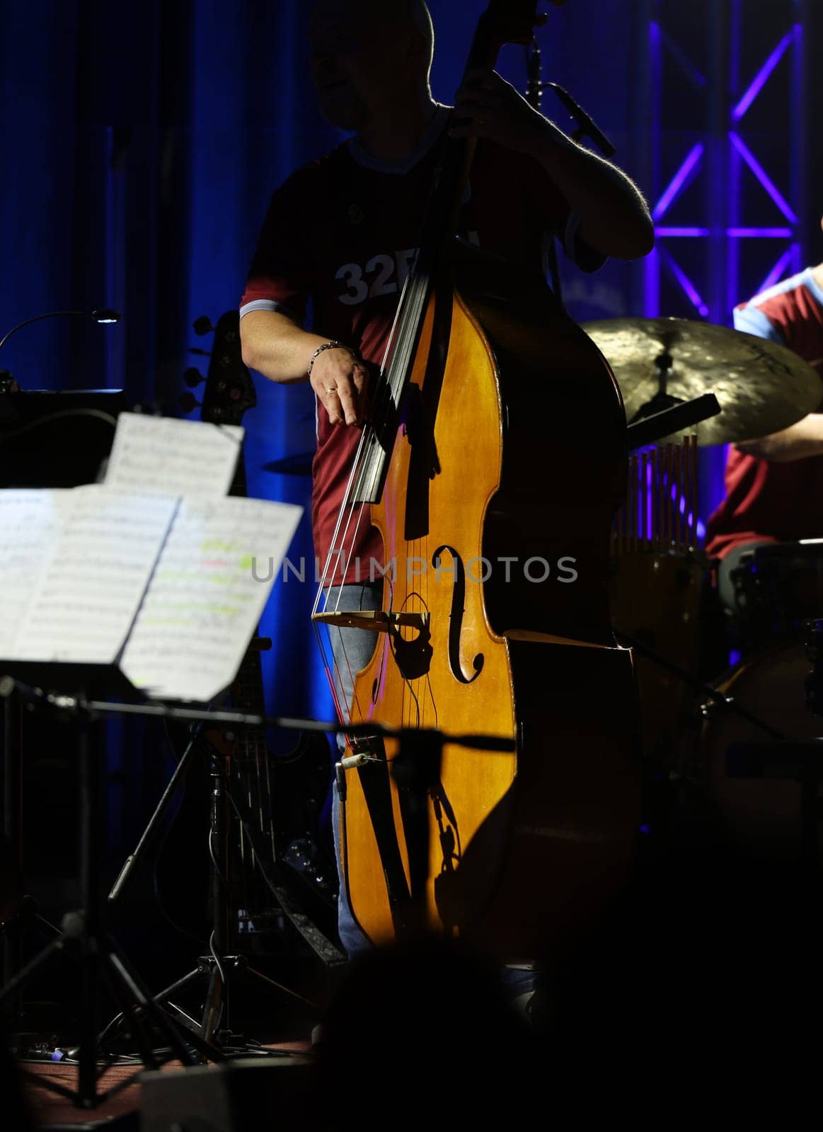 Double bass on the stage during the concert