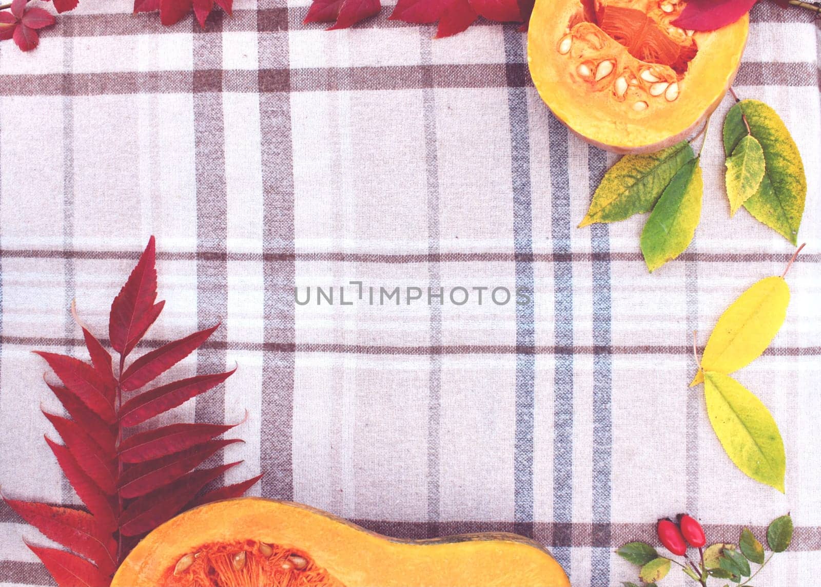 checkered beige autumn background with edible cut pumpkin and crimson yellow leaves.