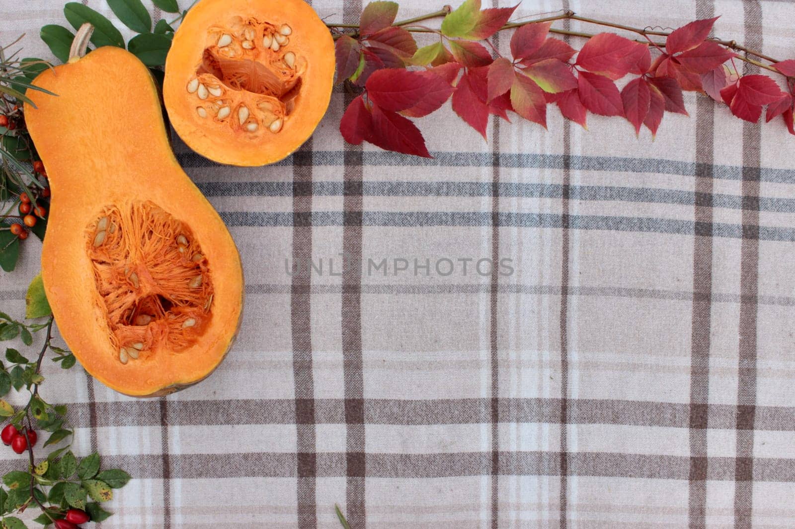 checkered beige autumn background with edible cut pumpkin and crimson yellow leaves.