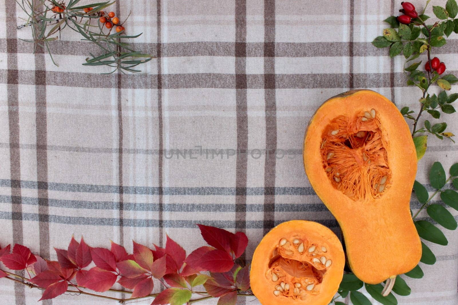 checkered beige autumn background with edible cut pumpkin and crimson yellow leaves.