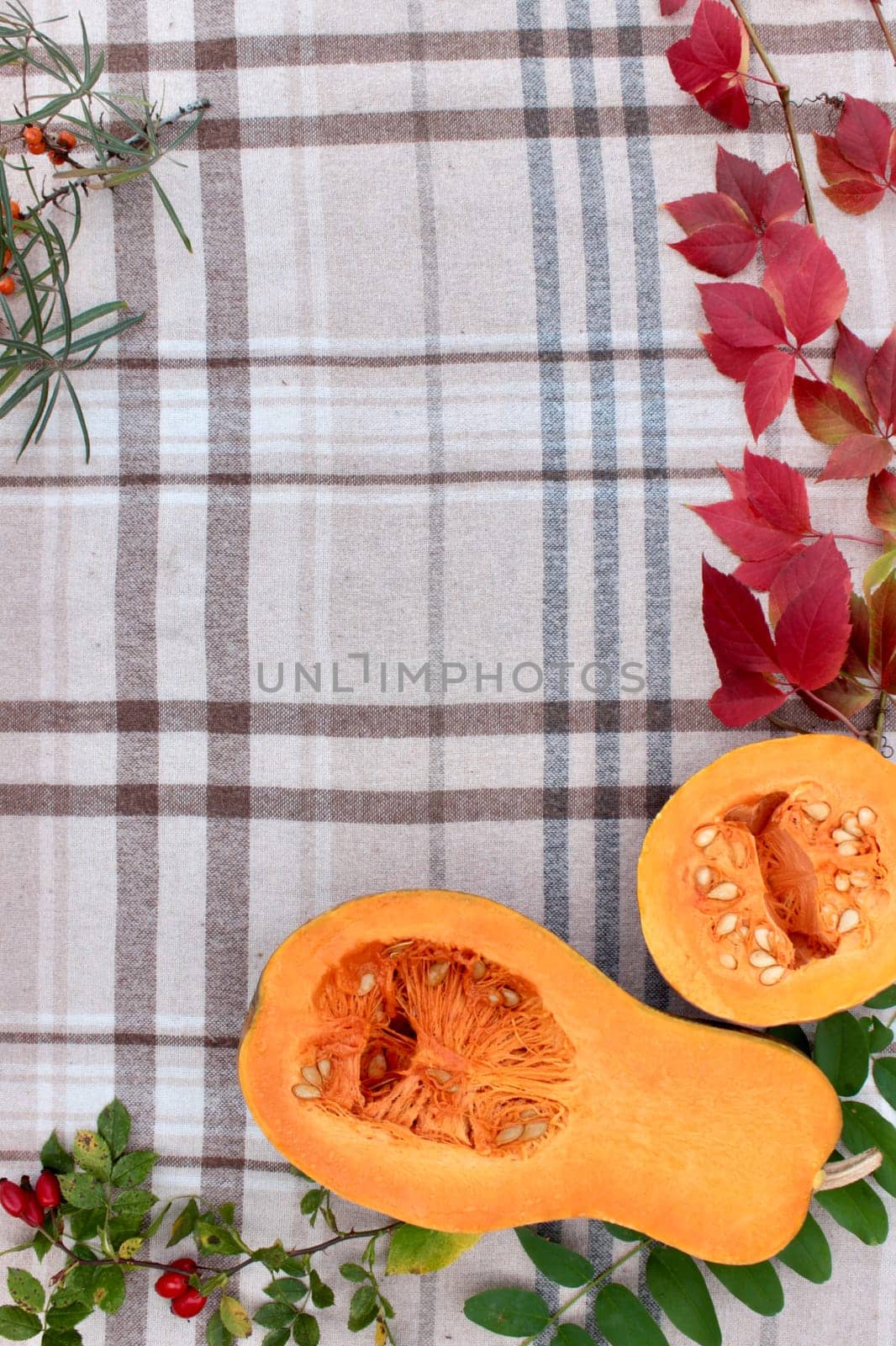 checkered beige autumn background with edible cut pumpkin and crimson yellow leaves.