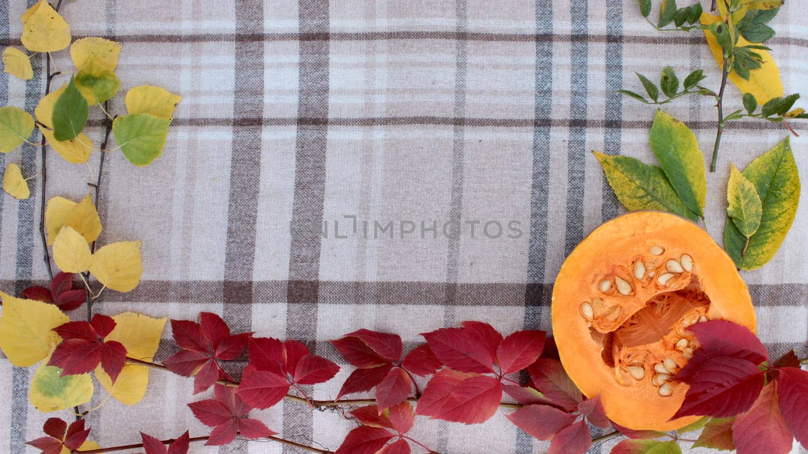 checkered beige autumn background with edible cut pumpkin and crimson yellow leaves.