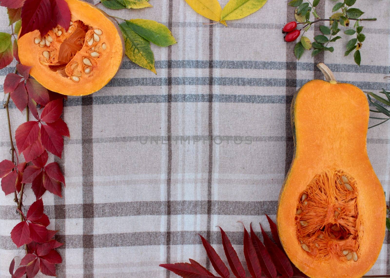 checkered beige autumn background with edible cut pumpkin and crimson yellow leaves.