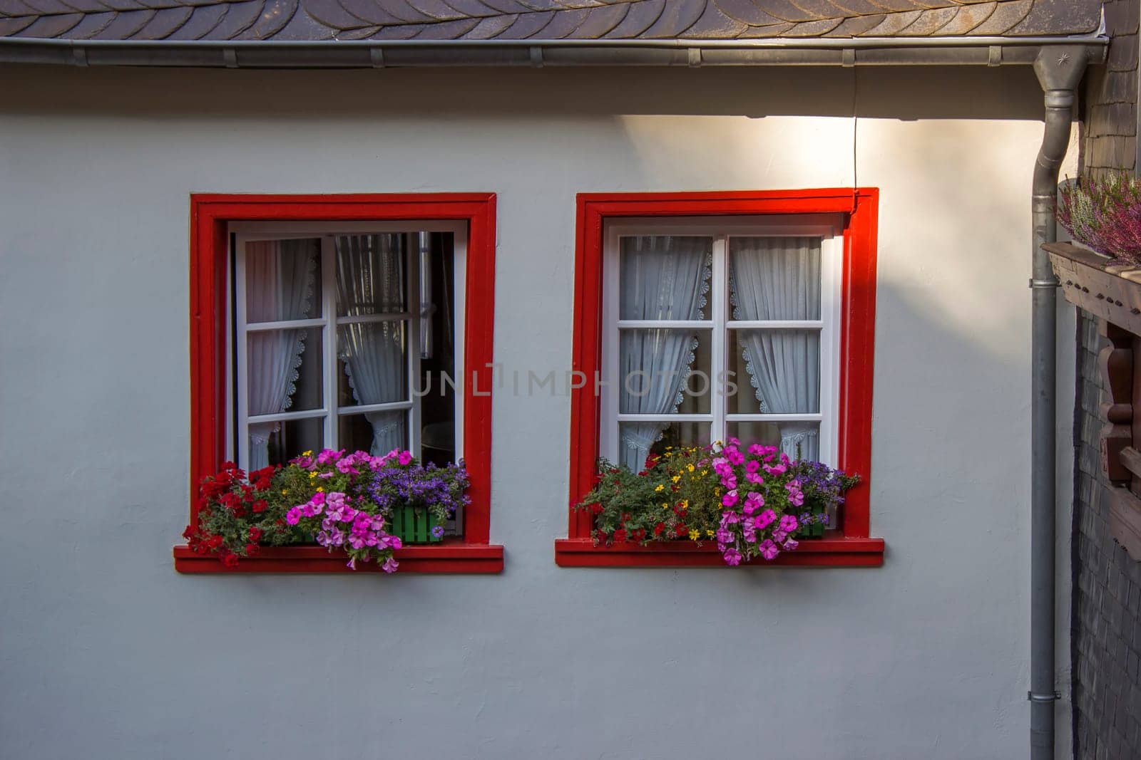 red windows with flowers - old buiding in Treis-Karden, Germany
